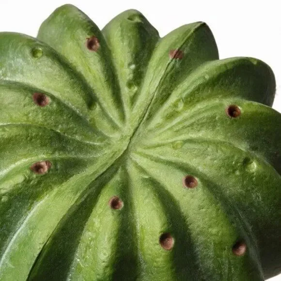 Ikea Cactus Fejka set of 3 Green Artificial Plastic Potted New 605.229.97 - Picture 4 of 4